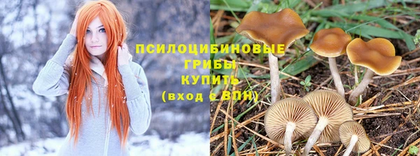 спиды Алзамай