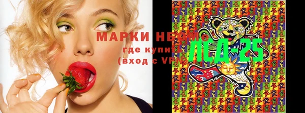 герыч Новодвинск