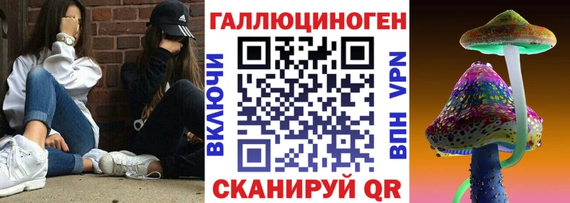 Галлюциногенные грибы Cubensis Сочи