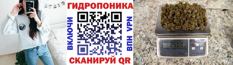 Бошки марихуана Bruce Banner  продажа наркотиков  мориарти как зайти  Сочи 